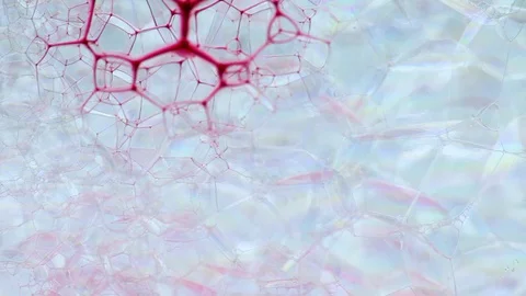 Pink ink flowing through pattern made of bubbles Stock Footage 127867499