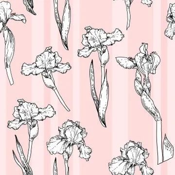 Pink iris pattern Illustrazione stock