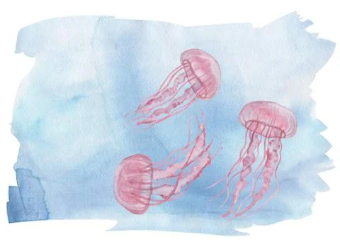 Pink jellyfish Illustrazione stock