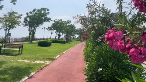 Pink jogging road from EPDM rubber in nature between oleander flowers Stock Footage 337021998