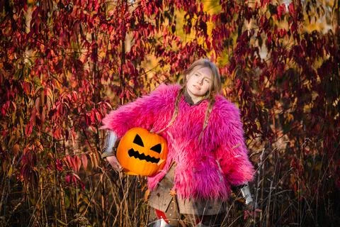 Pink knight Stock Photos