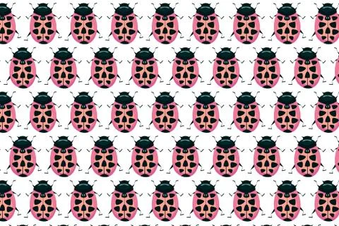 Pink ladybird pattern on white. Insects background Stock Illustration