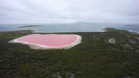 PInk Lake in Australia Stock Footage 175154752