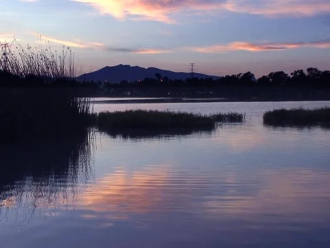 Pink Lake Stock Footage 490144