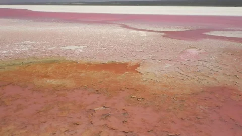 Pink Lake Stockbeeldmateriaal 143555633