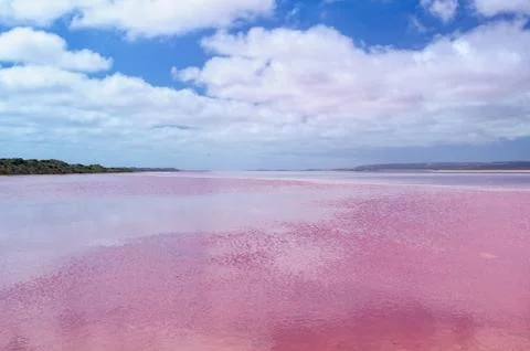 Pink Lake - Gregory Stock Photos
