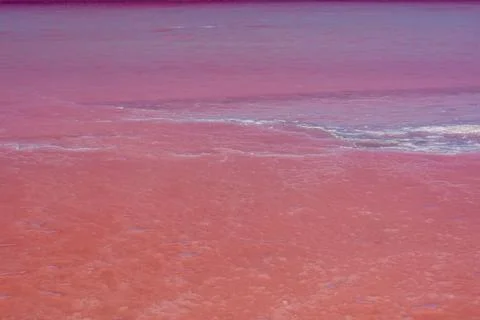 Pink lake Stock Photos