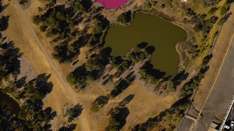 Pink Lake Topdown Flyover Bottom to Top Stock Footage 106902011