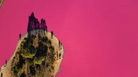Pink Lake Topdown Static Stock Footage 106897694