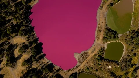 Pink Lake Topdown Tilt Up to City Stock Footage 106901904