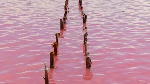 A pink lake water surface view. The scenic salt mining wooden pillars Stock Footage 165592230