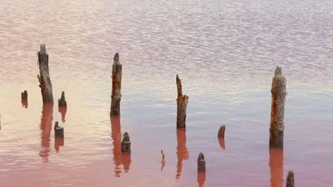 A pink lake water surface view. The scenic salt mining wooden pillars Stock Footage 165592328
