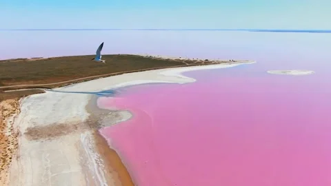 Pink lakes drone shooting from a height Stock Footage 142802381