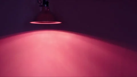 Pink Lamp-1 Stock Footage 157328745