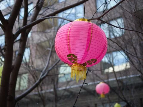 Pink Lantern Stock Photos
