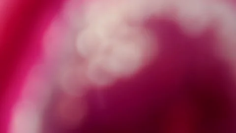 Pink Light Reflection Blurry Background Stock Footage 304372647