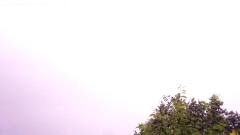 Pink Lightning Strike in the Sky, view from the Forest Stock Footage 109579035