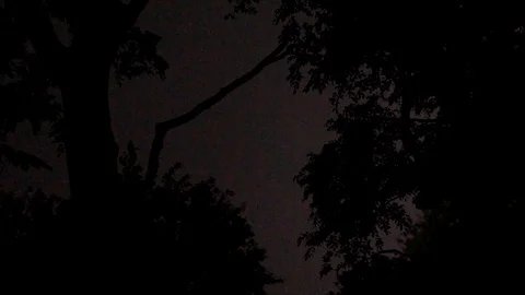 Pink Lightning Strikes in the Sky, view from the Forest Stock Footage 112632129