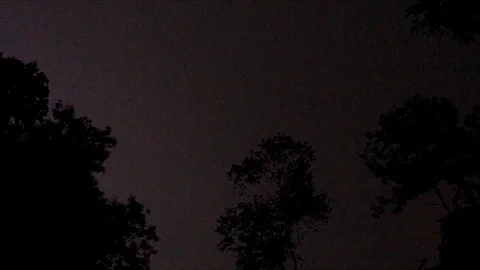 Pink Lightning Strikes in the Sky, view from the Forest Stock Footage 112632166