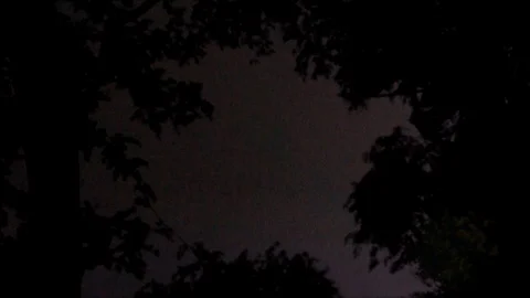 Pink Lightning Strikes in the Sky, view from the Forest Stock Footage 112632174