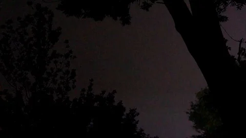 Pink Lightning Strikes in the Sky, view from the Forest Stock Footage 112632246