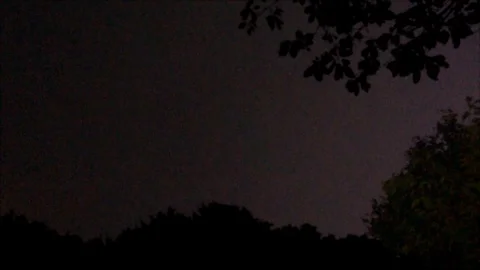 Pink Lightning Strikes in the Sky, view from the Forest Stock Footage 112632311