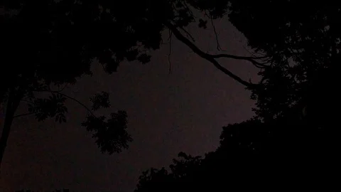 Pink Lightning Strikes in the Sky, view from the Forest Stock Footage 112632315