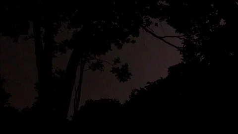 Pink Lightning Strikes in the Sky, view from the Forest Stock Footage 112632336