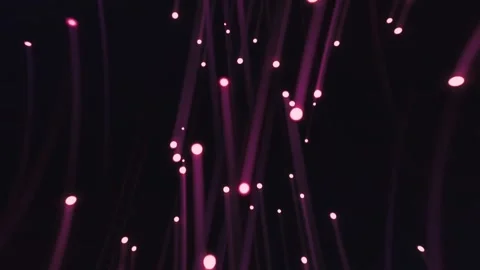 Pink lights falling in night Stock-Footage 259261825