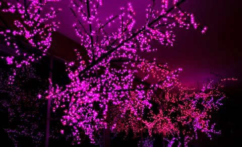 Pink lights Stock-Fotos