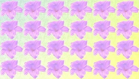 Pink lily pattern on gray yellow gradient Stock Illustration