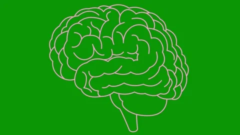 Pink line brain 2 green Vídeos de archivo 304491861