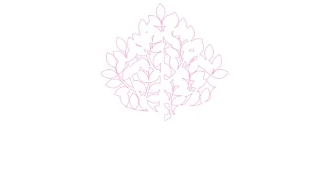 Pink line tree white Stock Footage 265432749