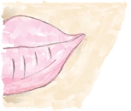 Pink Lips Stock Illustration
