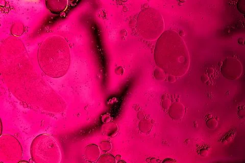Pink Liquid Abstract Texture Stock Photos