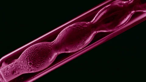 Pink liquid condensing on bulb lab condenser black background Stock Footage 336626737