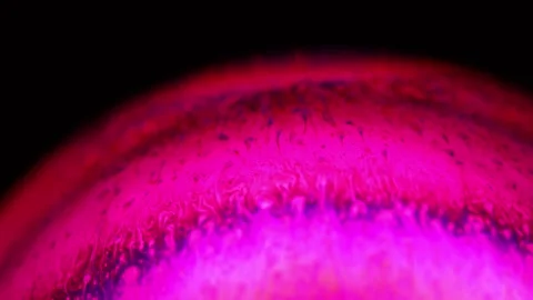Pink liquid on dark background, bright sphere Stock Footage 293149585