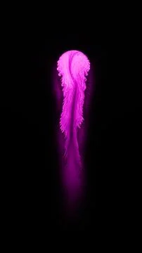 Pink liquid splash on black background 스톡 일러스트