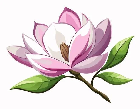 Pink lotus flower. Stock Illustration