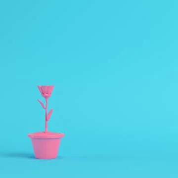 Pink low poly flower in a pot on bright blue background in pastel colors Stock Illustration