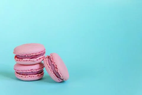 Pink macaron on blue background Stock Photos