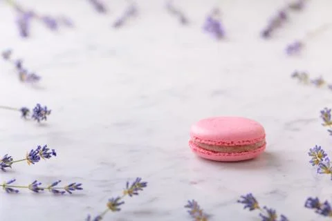 Pink macaron on white marble table and sprigs of lavender laid out around mac Foto stock