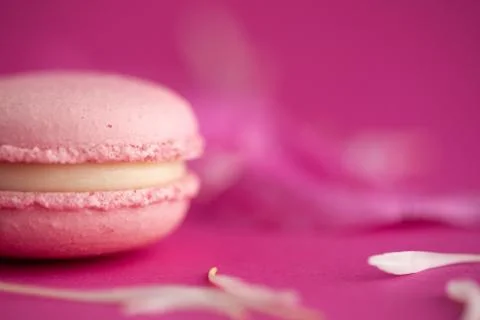 Pink macarons macro on pink background Stock Photos