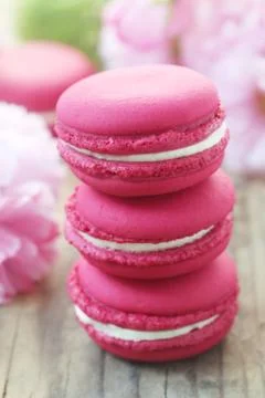 Pink Macarons Stock Photos