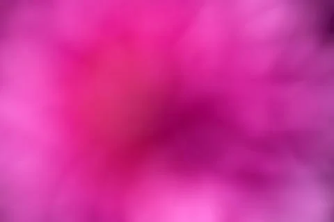 Pink Magenta Abstract Background with Soft Diffused Light Stock Illustration
