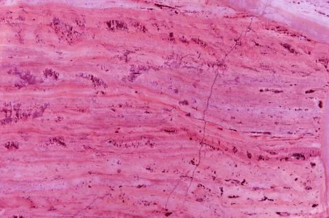 Pink marble texture Foto stock