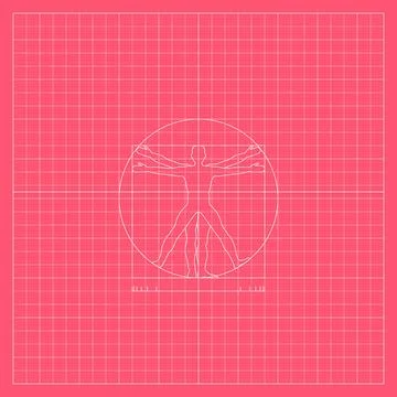 Pink mathematical grid featuring a Vitruvian human anatomical figure inside.. Stock Illustration
