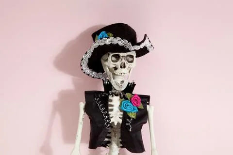 Pink mexican skeleton Stock Photos