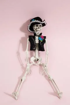 Pink mexican skeleton Stock Photos