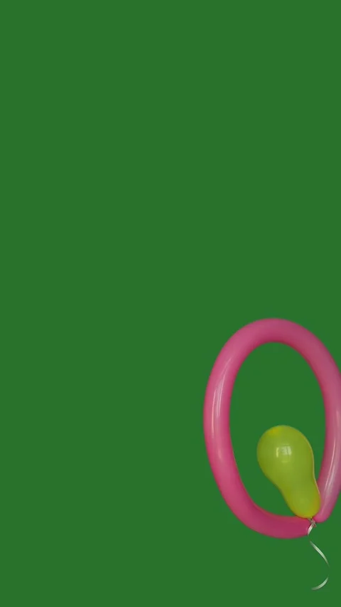 Pink modeling balloon with small yellow balloon inside floating on green scre Stockbeeldmateriaal 346281706